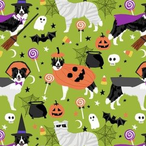 border collie halloween dog fabric - cute dog, dogs, dog breed, mummy witch, pumpkins - lime