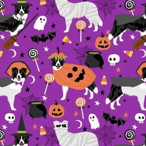 border collie halloween dog fabric - cute dog, dogs, dog breed, mummy witch, pumpkins -purple
