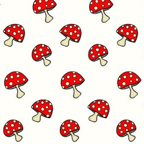 Fly Agaric fungus / Red polka-dot mushroom  on white 