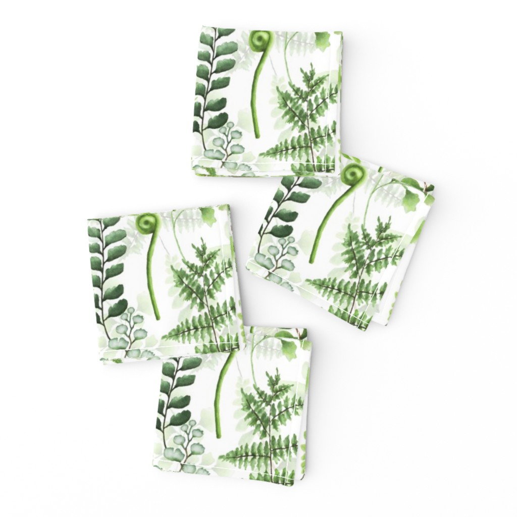 12" Woodland green forest botanical - fern leaves on white