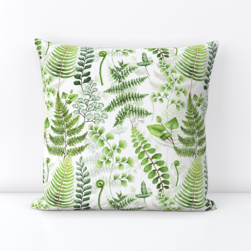 12" Woodland green forest botanical - fern leaves on white