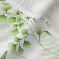 12" Woodland green forest botanical - fern leaves on white