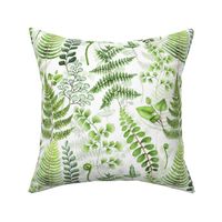 12" Woodland green forest botanical - fern leaves on white