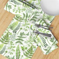 12" Woodland green forest botanical - fern leaves on white