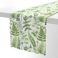 12" Woodland green forest botanical - fern leaves on white