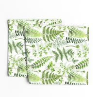 12" Woodland green forest botanical - fern leaves on white