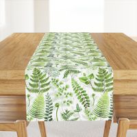 12" Woodland green forest botanical - fern leaves on white