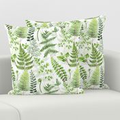 12" Woodland green forest botanical - fern leaves on white