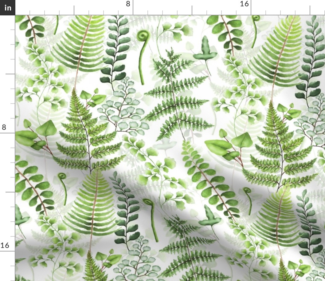 12" Woodland green forest botanical - fern leaves on white