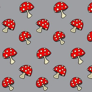 Fly Agaric fungus / Red polka-dot mushroom 