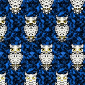 Ms Owl on Blue