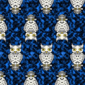 Ms Owl on Blue Up and Down