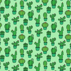 CACTUS COLLECTION ON MINT GREEN
