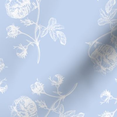 14"  Pierre-Joseph Redouté- Pierre-Joseph Redoute- Redouté fabric,Roses fabric-Redoute roses-Chinoiserie Blue Roses Fabric, Roses Fabric, Redoute Fabric,