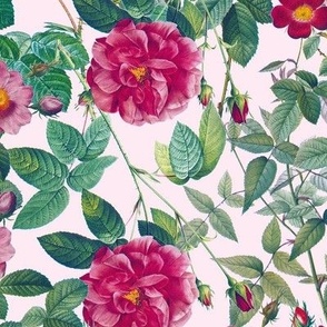 Nostalgic Pierre-Joseph Redouté Pink Roses Antique Flower Bouquets,  vintage home decor,English Rose Fabric  on Pink 