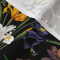 18" Pierre-Joseph Redouté - Iris Flowers Bunches on black, Mystic Night 34