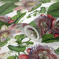 Passiflora Vintage Pattern- Small - 10,5in