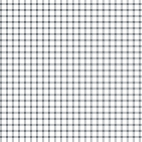 Small Scale Gray Gingham 