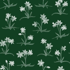 tiny chalk white narcissus on chalkboard green