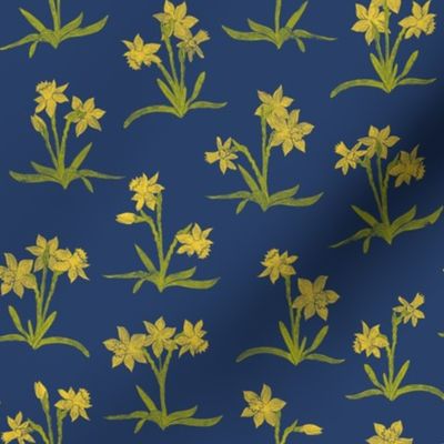 tiny bright yellow daffodils on navy
