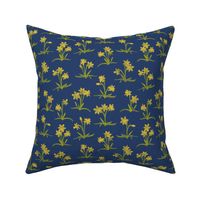 tiny bright yellow daffodils on navy