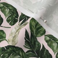 Tropical Banana Leaves // Blush