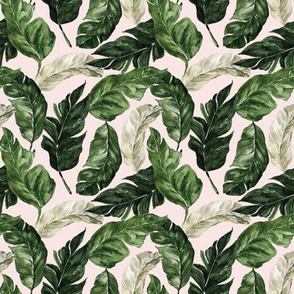 Tropical Banana Leaves // Blush