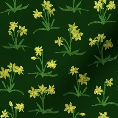 tiny sunny yellow daffodils on forest green