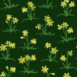 tiny sunny yellow daffodils on forest green