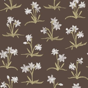 tiny white daffodils on brown