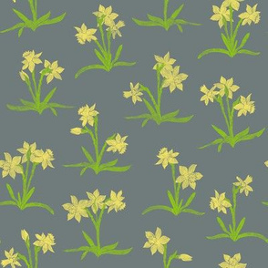 tiny bright daffodils on cool grey