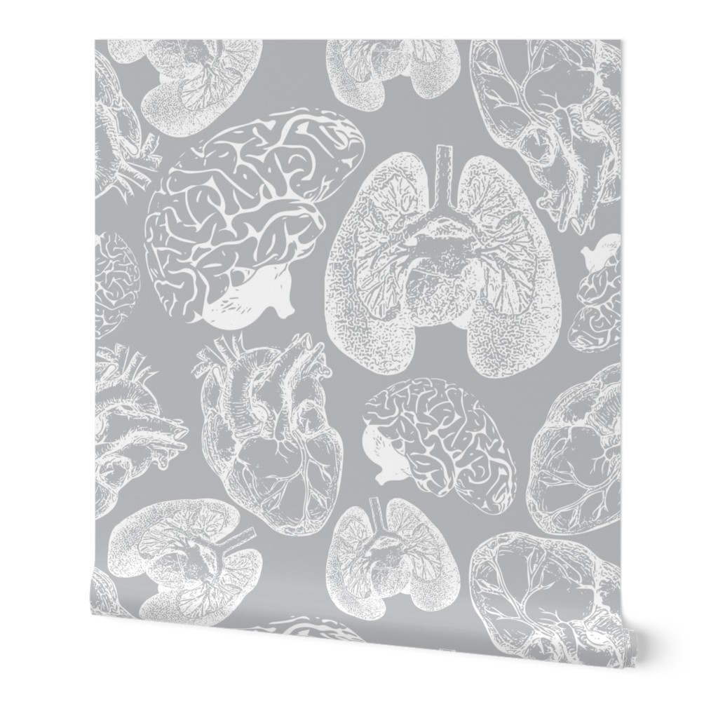 Anatomical Organ Variety White on Grey Jumbo