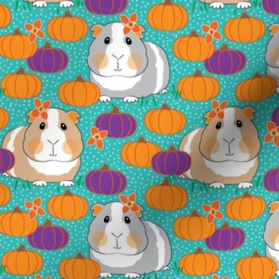 guinea-pigs-and-pumpkins-on-teal