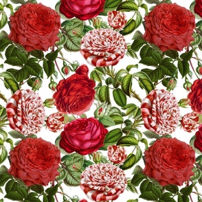 Nostalgic Red And White Striped Chinoiserie Pierre-Joseph Redouté  Roses, Antique Flowers Bouquets, vintage home decor,  English Roses Fabric