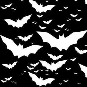bats in white on black