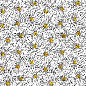 Daisies White Full