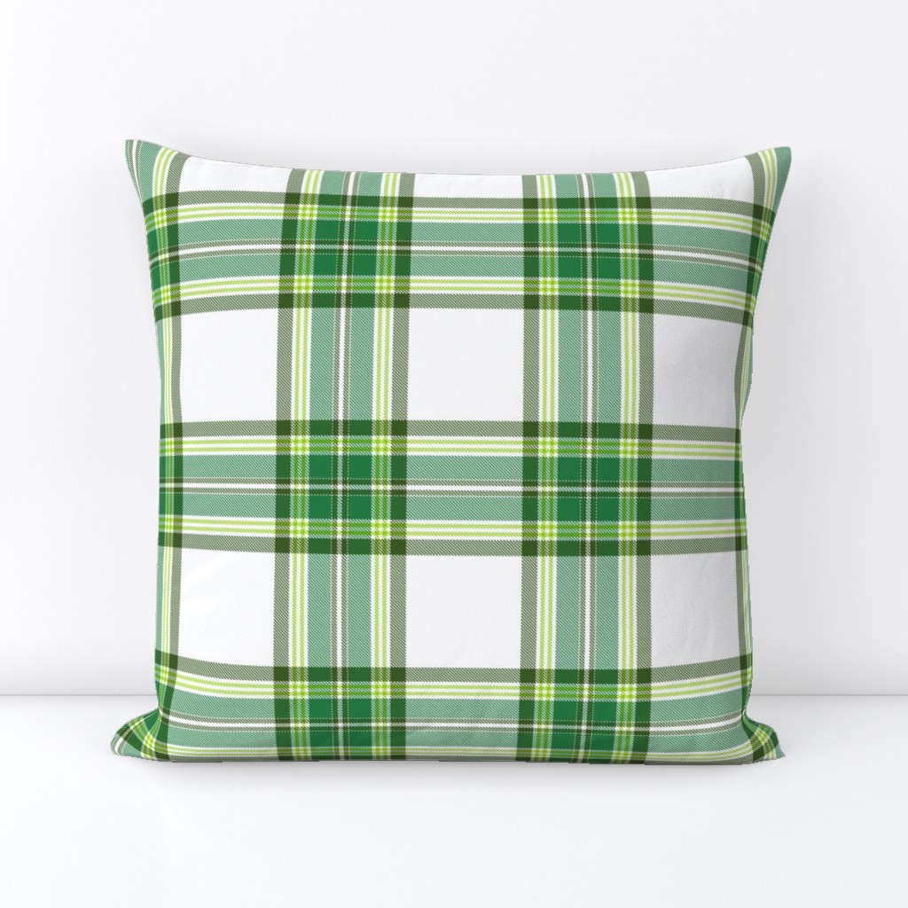 Tramaine Plaid in Forest