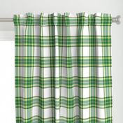 Tramaine Plaid in Forest