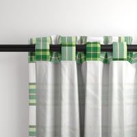Tramaine Plaid in Forest