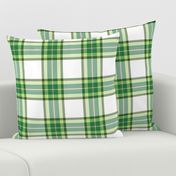 Tramaine Plaid in Forest