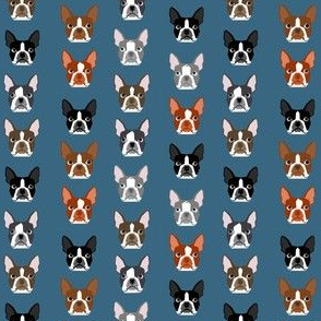 SMALL - boston terriers blue faces cute dogs dog pet dog fabrics for dog lovers