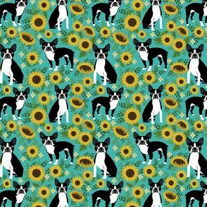 SMALL - boston terrier sunflower fabric dogs and sunflowers floral design - turquoise