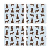 labrador retriever chocolate lab pet quilt b quilt coordinates dog fabric 