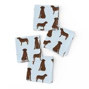 labrador retriever chocolate lab pet quilt b quilt coordinates dog fabric 