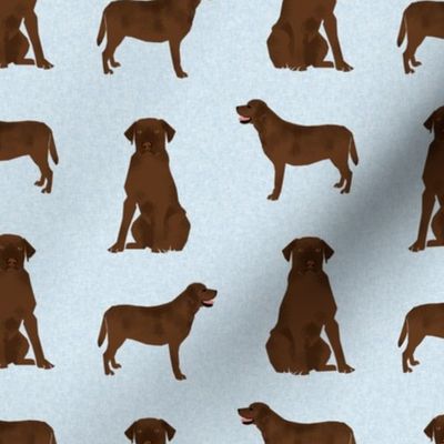 labrador retriever chocolate lab pet quilt b quilt coordinates dog fabric 