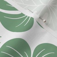 Jade Green Monstera Palm leaves Wallpaper