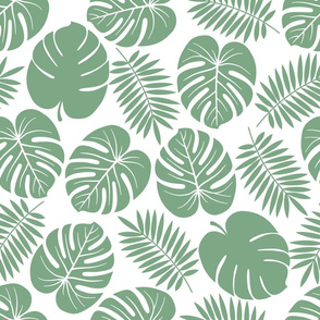 Jade Green Monstera Palm leaves Wallpaper