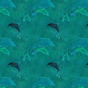 Bottlenose Dolphins (Teal)