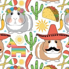 mexican guinea pigs on white