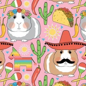 mexican guinea pigs on pink